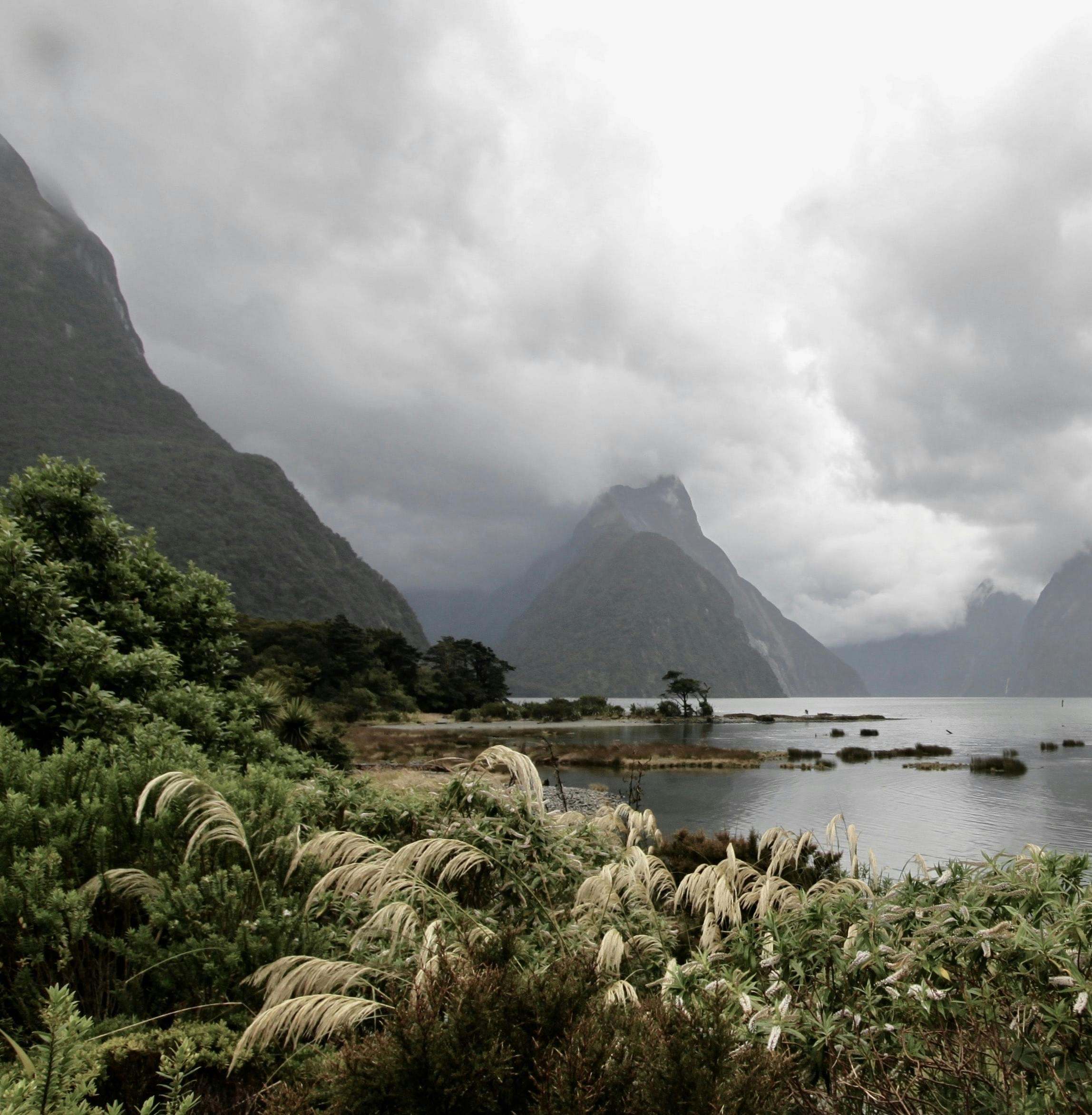 Fiordland small