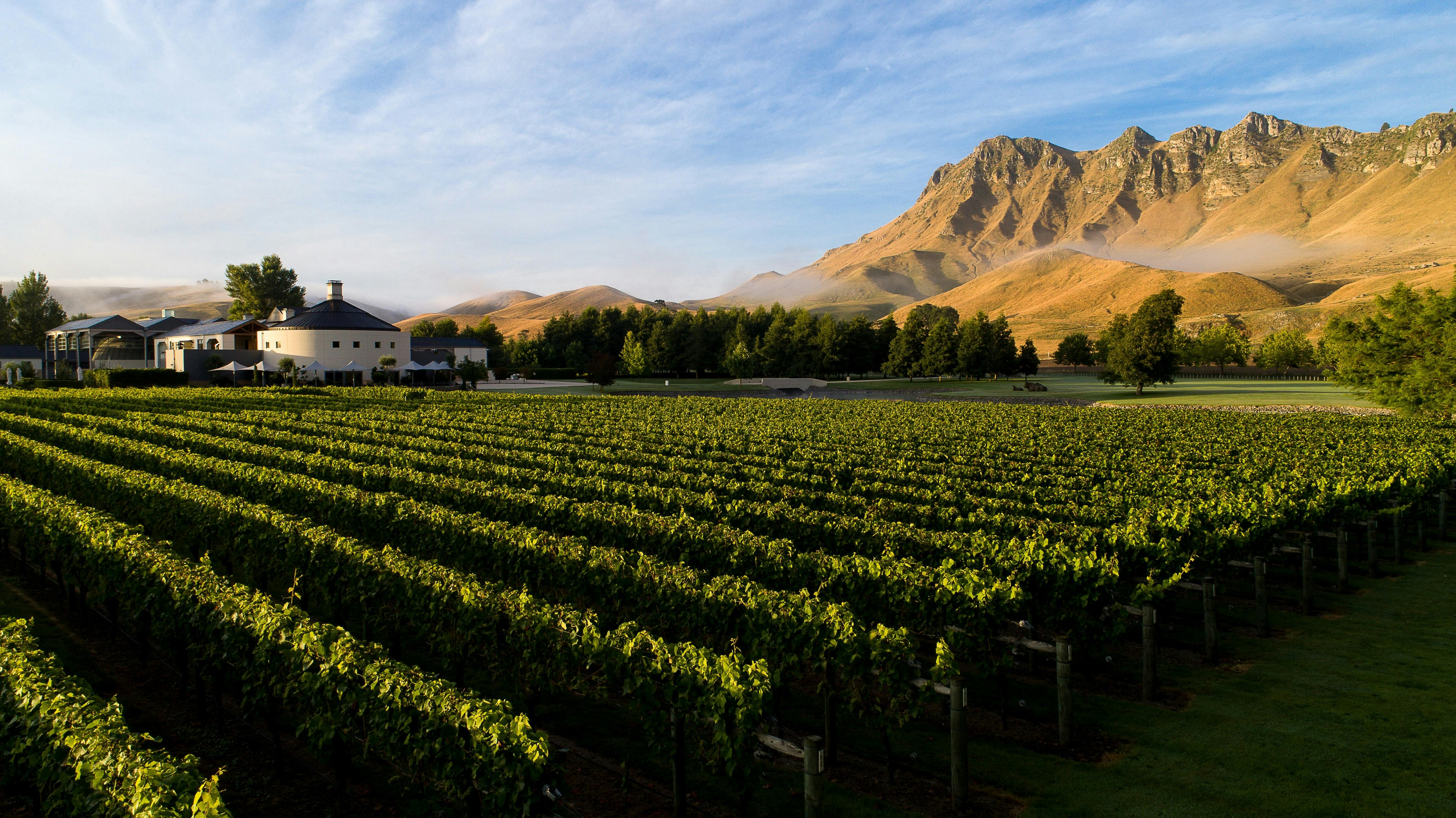 Craggy Range Giants Winery Low with vines