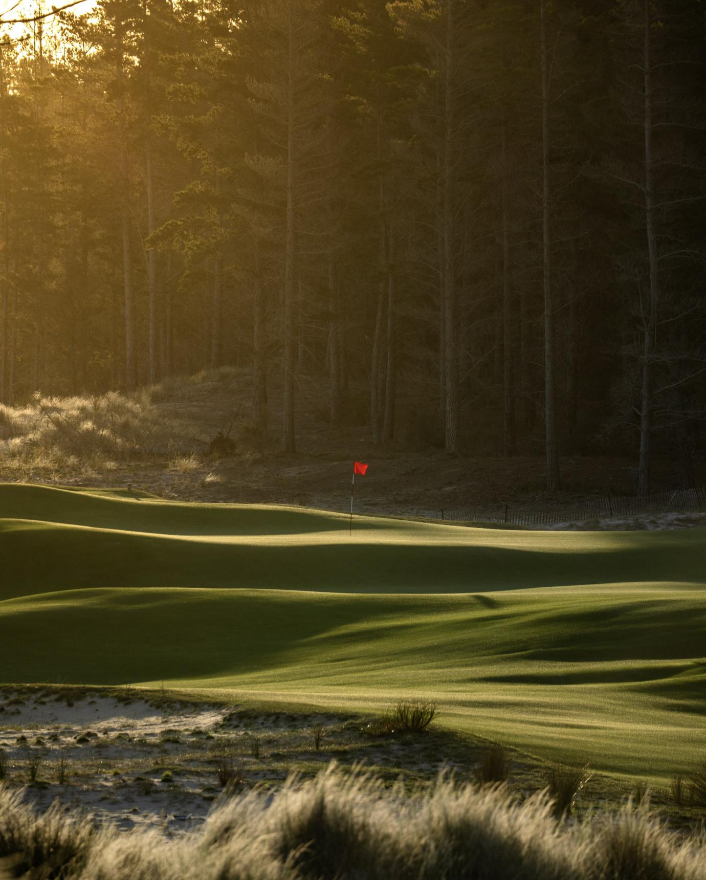 TeAraiNorth4thgreen