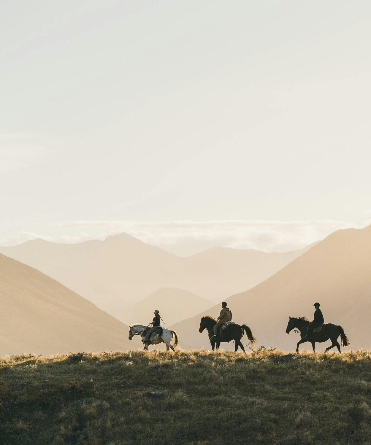 Horsetrek