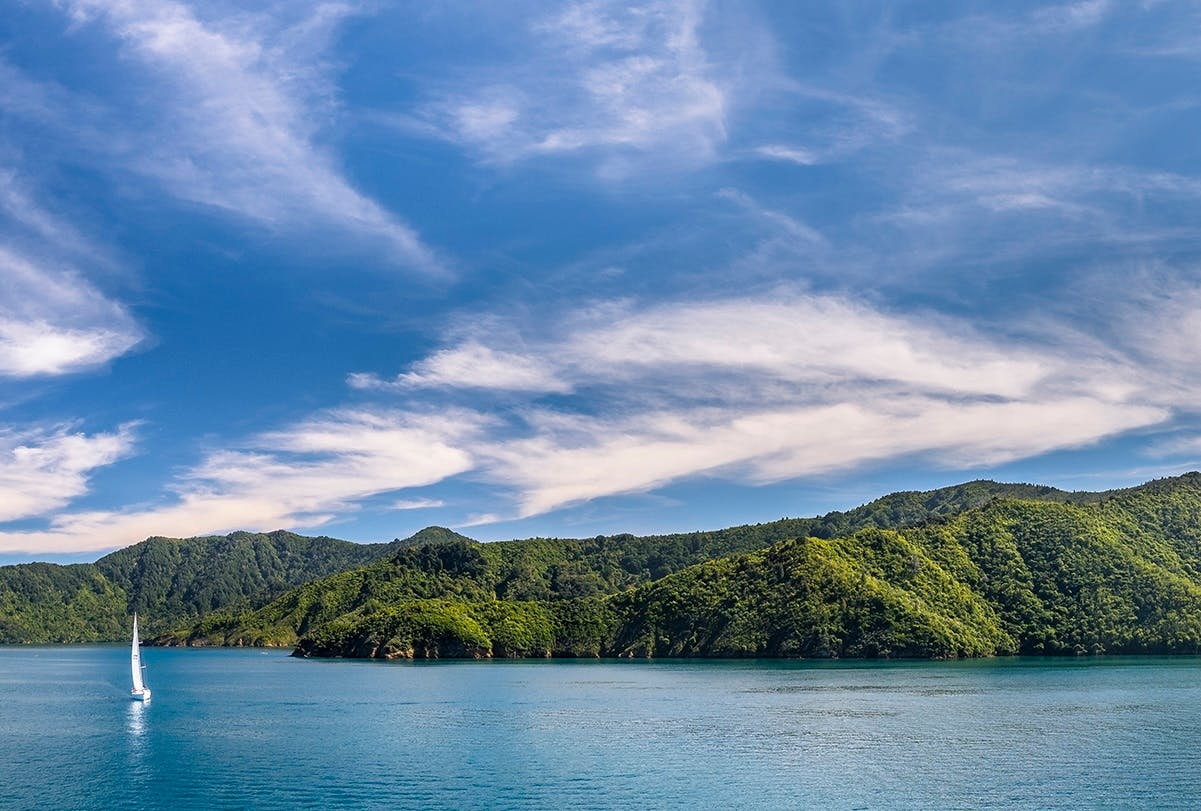 Marlborough sounds yacht