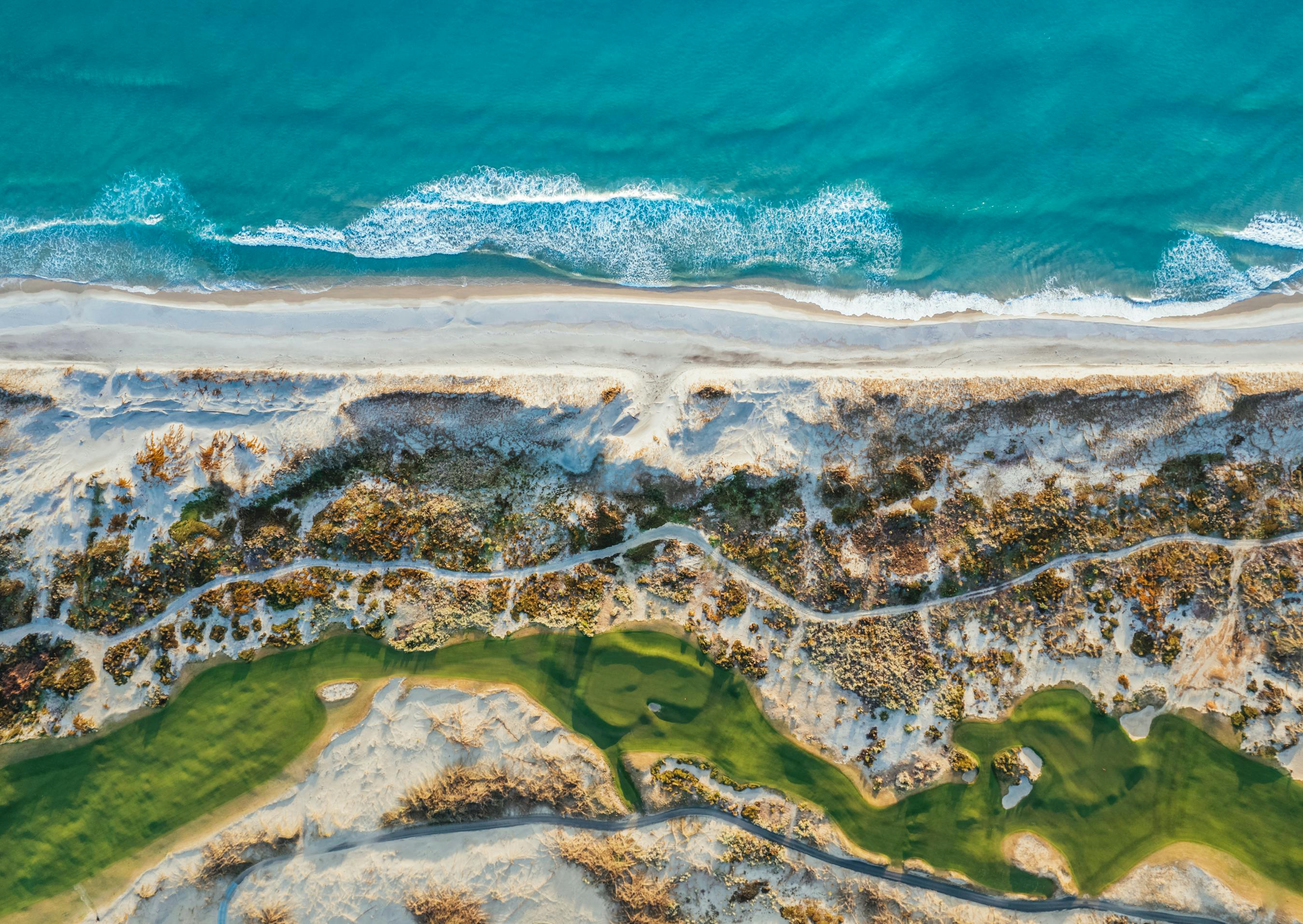 Te arai south beach