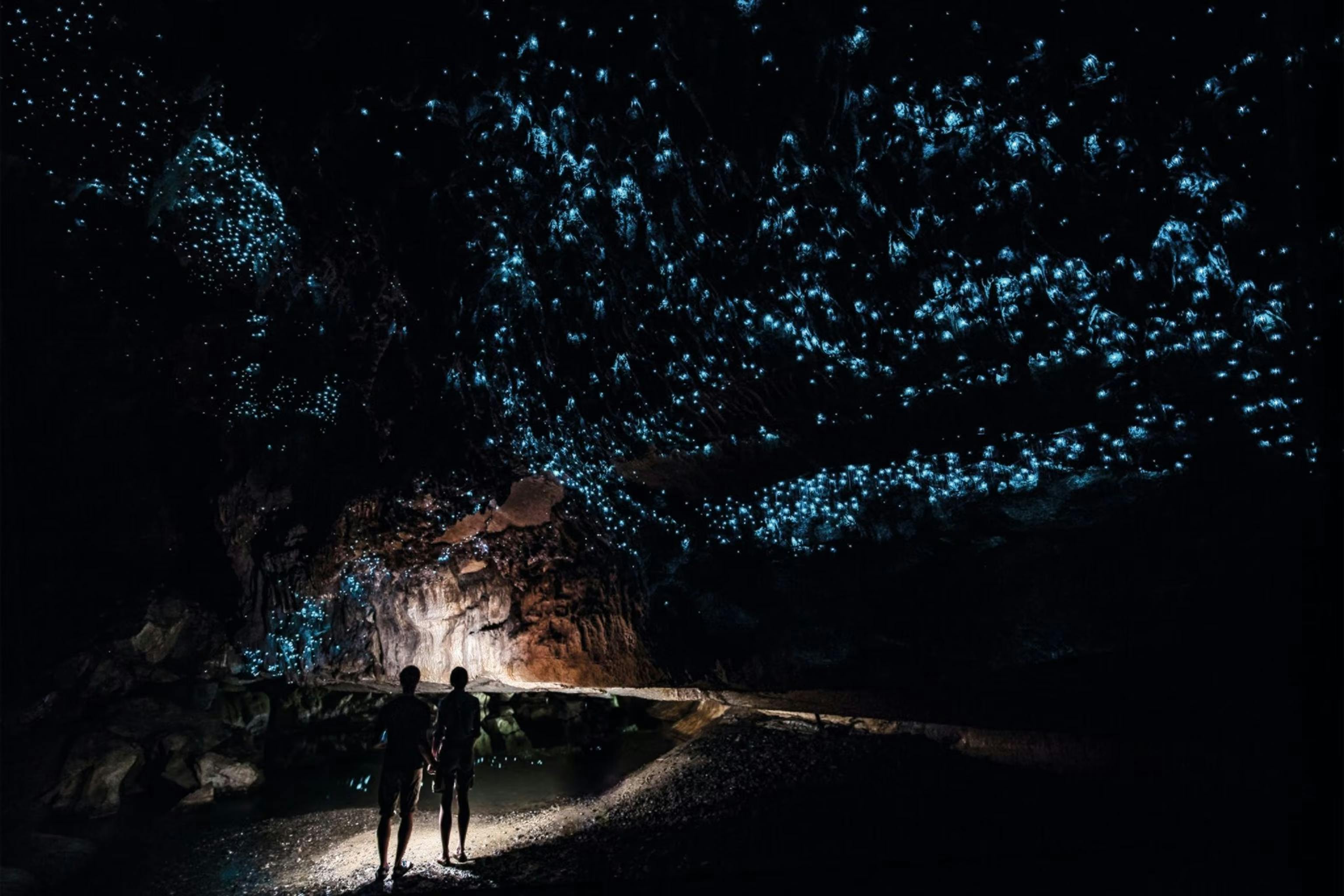 Waitomocaves